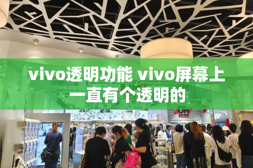 vivo透明功能 vivo屏幕上一直有个透明的