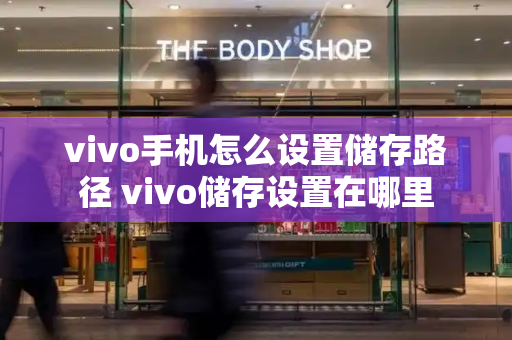 vivo手机怎么设置储存路径 vivo储存设置在哪里-第1张图片-星选测评