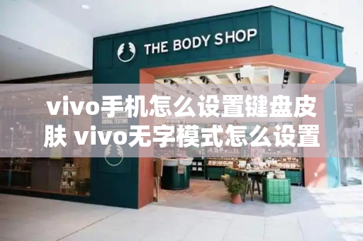 vivo手机怎么设置键盘皮肤 vivo无字模式怎么设置-第1张图片-星选测评