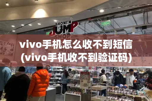 vivo手机怎么收不到短信(vivo手机收不到验证码)