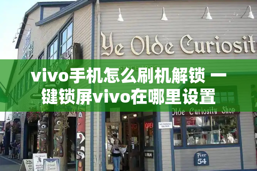 vivo手机怎么刷机解锁 一键锁屏vivo在哪里设置-第1张图片-星选测评