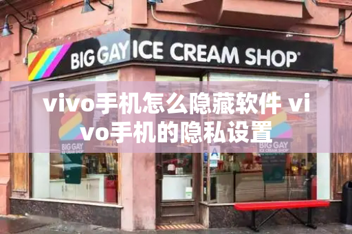 vivo手机怎么隐藏软件 vivo手机的隐私设置