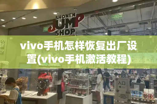 vivo手机怎样恢复出厂设置(vivo手机激活教程)-第1张图片-星选测评