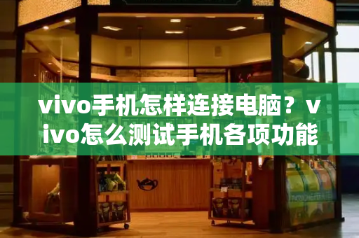 vivo手机怎样连接电脑？vivo怎么测试手机各项功能-第1张图片-星选测评