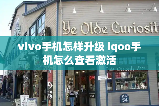 vivo手机怎样升级 iqoo手机怎么查看激活-第1张图片-星选测评