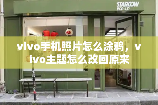 vivo手机照片怎么涂鸦，vivo主题怎么改回原来-第1张图片-星选测评