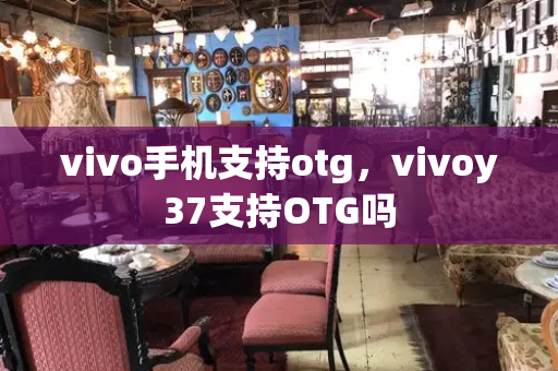 vivo手机支持otg，vivoy37支持OTG吗