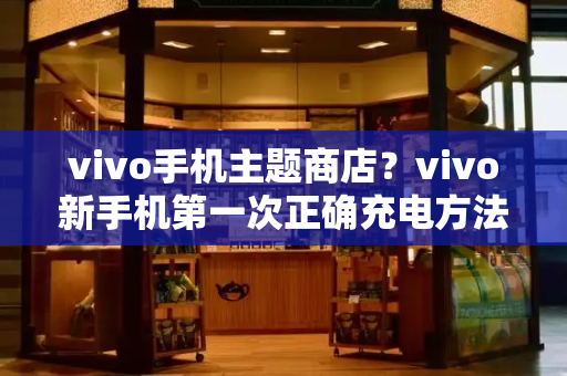 vivo手机主题商店？vivo新手机第一次正确充电方法