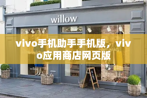 vivo手机助手手机版，vivo应用商店网页版-第1张图片-星选测评