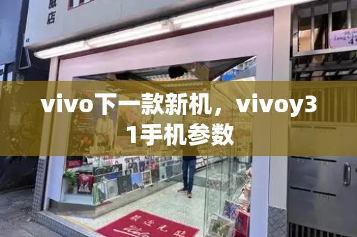 vivo下一款新机，vivoy31手机参数