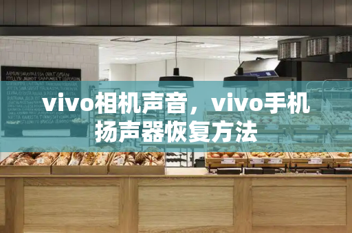 vivo相机声音，vivo手机扬声器恢复方法-第1张图片-星选测评