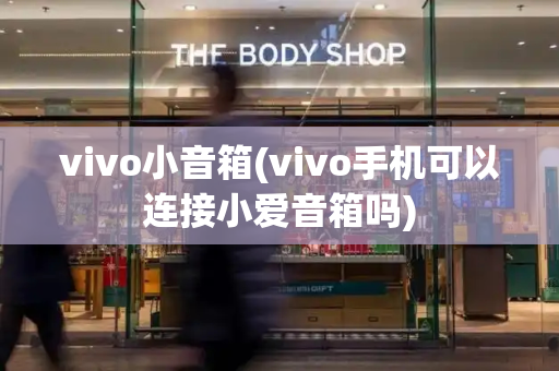 vivo小音箱(vivo手机可以连接小爱音箱吗)