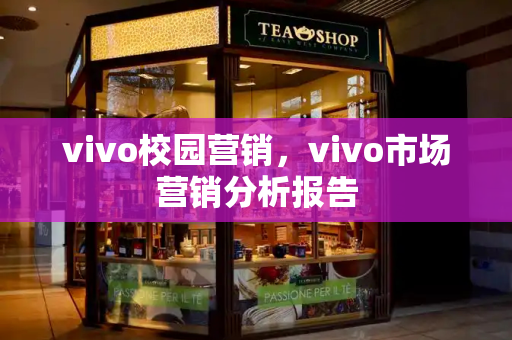 vivo校园营销，vivo市场营销分析报告-第1张图片-星选测评