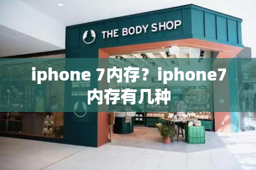 iphone 7内存？iphone7内存有几种-第1张图片-星选测评