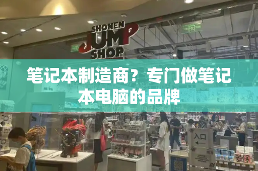 笔记本制造商？专门做笔记本电脑的品牌