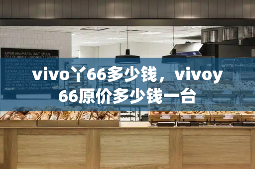 vivo丫66多少钱，vivoy66原价多少钱一台-第1张图片-星选测评