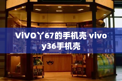 ViVO丫67的手机壳 vivoy36手机壳-第1张图片-星选测评