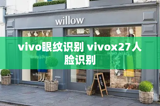 vivo眼纹识别 vivox27人脸识别-第1张图片-星选测评