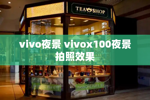 vivo夜景 vivox100夜景拍照效果