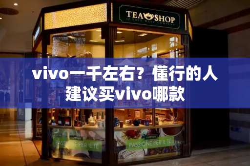 vivo一千左右？懂行的人建议买vivo哪款