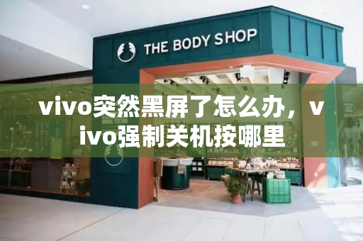 vivo突然黑屏了怎么办，vivo强制关机按哪里-第1张图片-星选测评