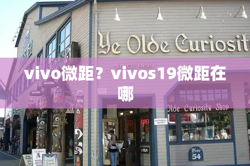 vivo微距？vivos19微距在哪-第1张图片-星选测评