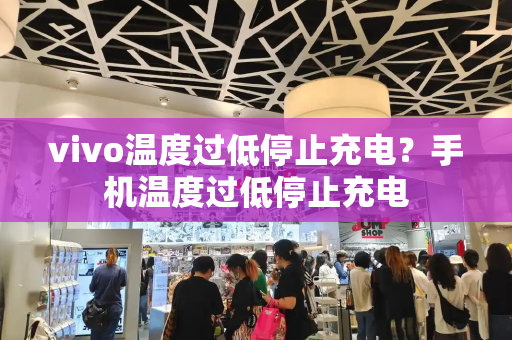 vivo温度过低停止充电？手机温度过低停止充电