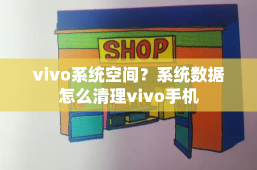 vivo系统空间？系统数据怎么清理vivo手机-第1张图片-星选测评