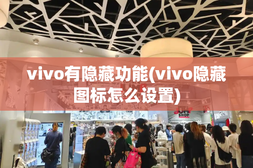 vivo有隐藏功能(vivo隐藏图标怎么设置)-第1张图片-星选测评