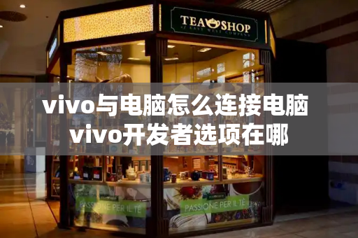 vivo与电脑怎么连接电脑 vivo开发者选项在哪-第1张图片-星选测评