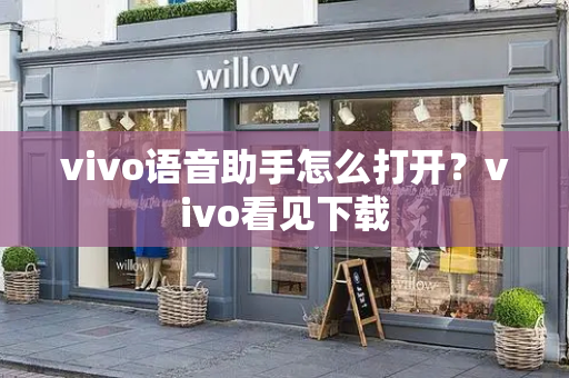 vivo语音助手怎么打开？vivo看见下载