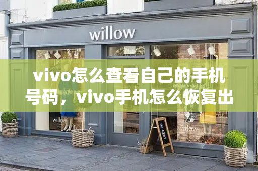 vivo怎么查看自己的手机号码，vivo手机怎么恢复出厂设置