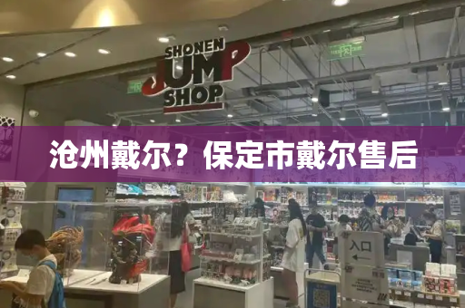 沧州戴尔？保定市戴尔售后