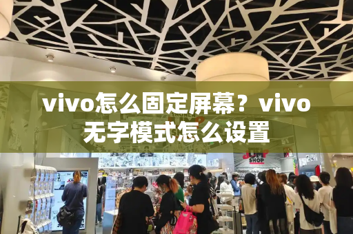 vivo怎么固定屏幕？vivo无字模式怎么设置-第1张图片-星选测评