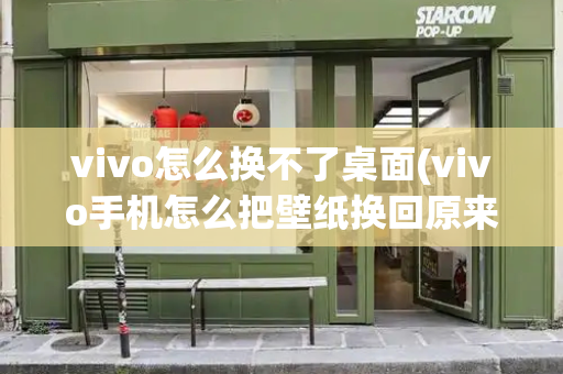 vivo怎么换不了桌面(vivo手机怎么把壁纸换回原来的)-第1张图片-星选测评