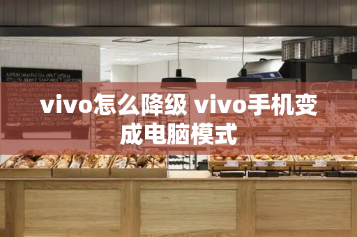 vivo怎么降级 vivo手机变成电脑模式-第1张图片-星选测评