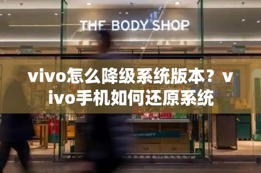 vivo怎么降级系统版本？vivo手机如何还原系统-第1张图片-星选测评