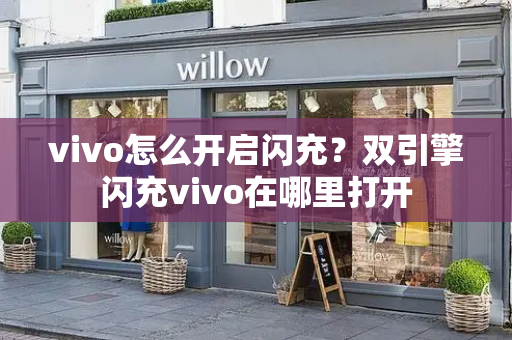 vivo怎么开启闪充？双引擎闪充vivo在哪里打开