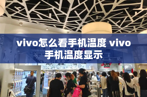 vivo怎么看手机温度 vivo手机温度显示-第1张图片-星选测评