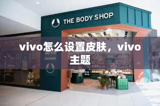 vivo怎么设置皮肤，vivo主题