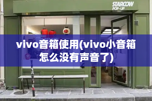 vivo音箱使用(vivo小音箱怎么没有声音了)-第1张图片-星选测评