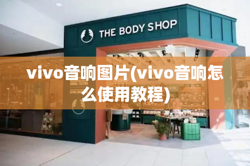 vivo音响图片(vivo音响怎么使用教程)