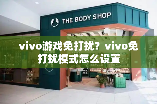 vivo游戏免打扰？vivo免打扰模式怎么设置-第1张图片-星选测评