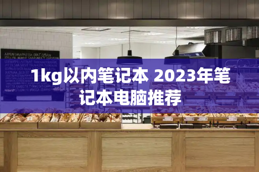 1kg以内笔记本 2023年笔记本电脑推荐