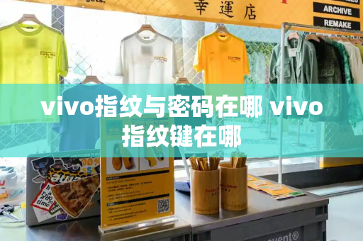 vivo指纹与密码在哪 vivo指纹键在哪-第1张图片-星选测评