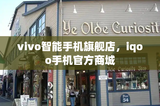 vivo智能手机旗舰店，iqoo手机官方商城