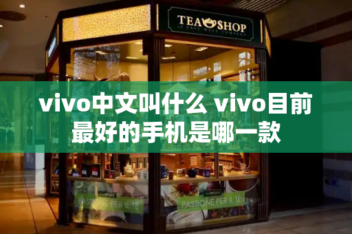 vivo中文叫什么 vivo目前最好的手机是哪一款