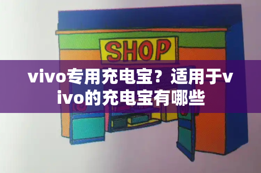 vivo专用充电宝？适用于vivo的充电宝有哪些-第1张图片-星选测评