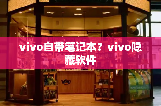 vivo自带笔记本？vivo隐藏软件-第1张图片-星选测评