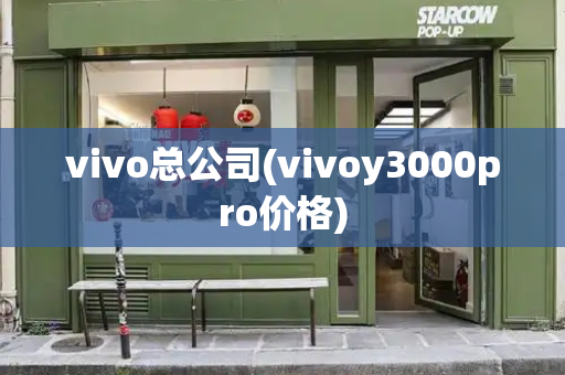 vivo总公司(vivoy3000pro价格)-第1张图片-星选测评